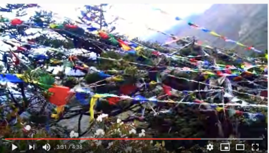 Screenshot 2020-04-01 16.10.35